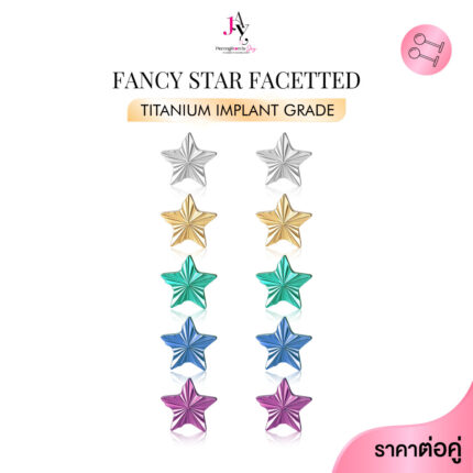 Fancy Star Facetted Plain Titanium Flat back (ราคาต่อคู่)(Pair)